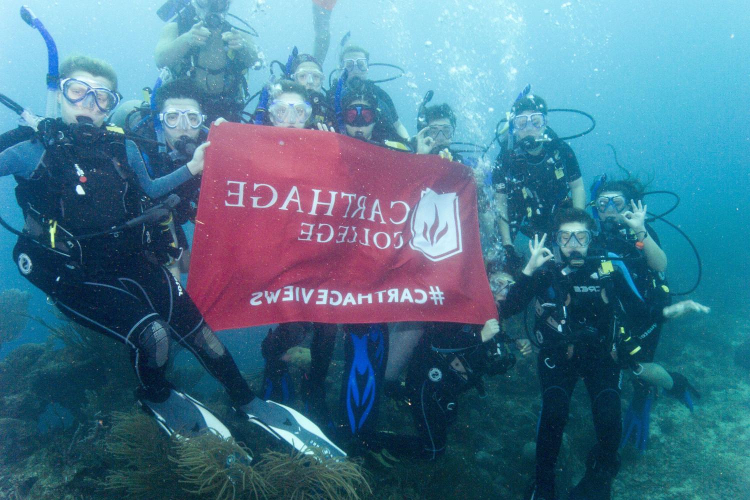学生们手持<a href='http://dzto.ngskmc-eis.net'>bv伟德ios下载</a>旗帜，在j学期洪都拉斯游学之旅中潜水.